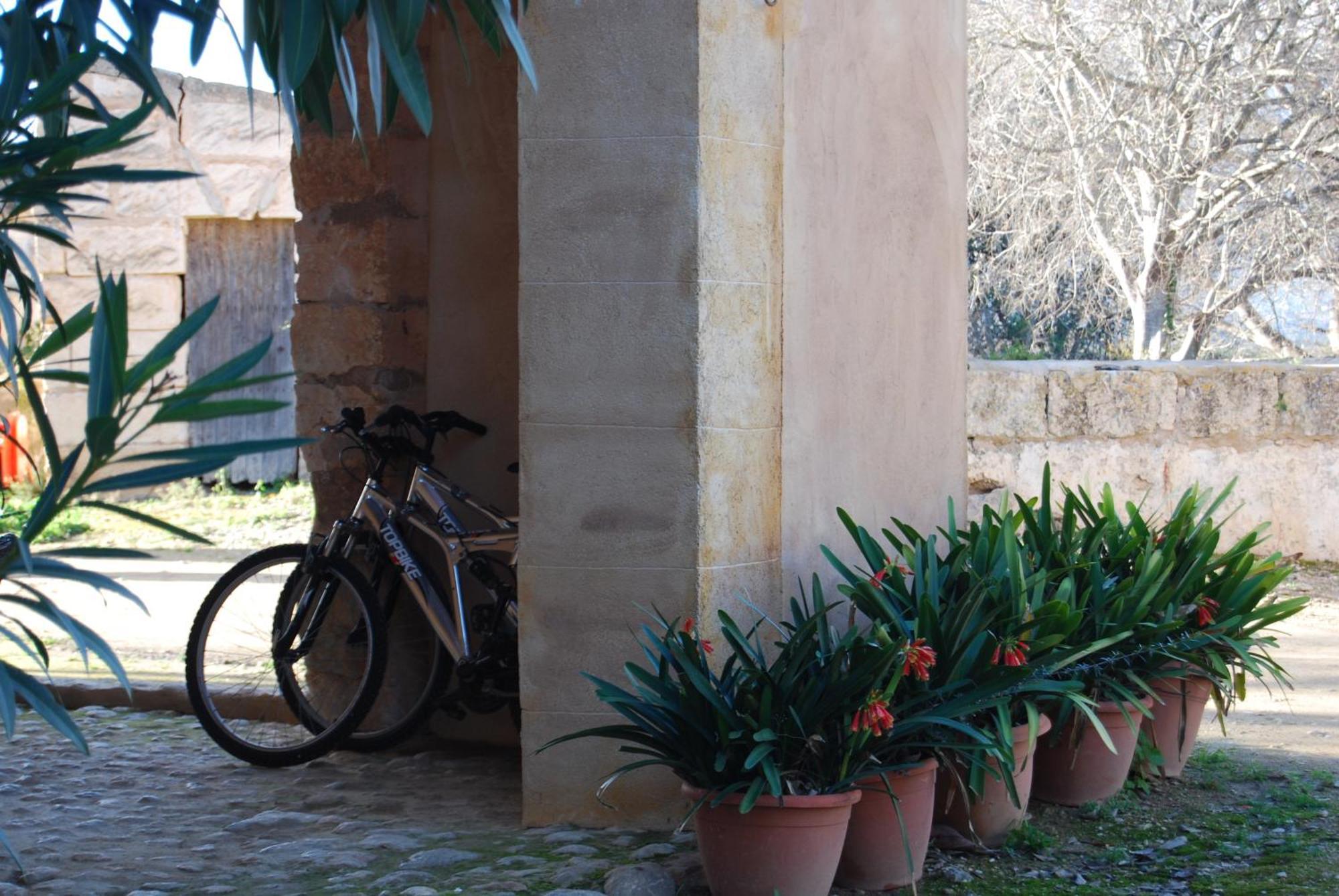 Son Vivot Country house