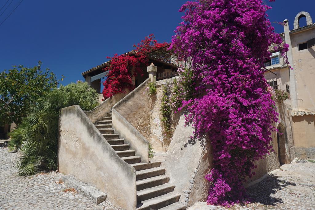 Country house Son Vivot