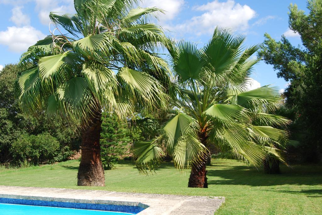 Son Vivot Casa di campagna Inca (Mallorca)