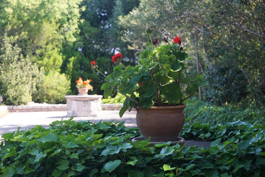 Casa di campagna Son Vivot
